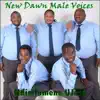 New Dawn Male Voices - Ndimfumane UJesu